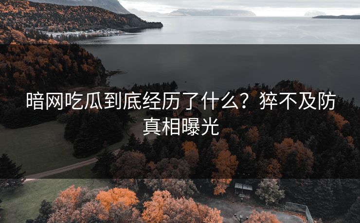 暗网吃瓜到底经历了什么？猝不及防真相曝光