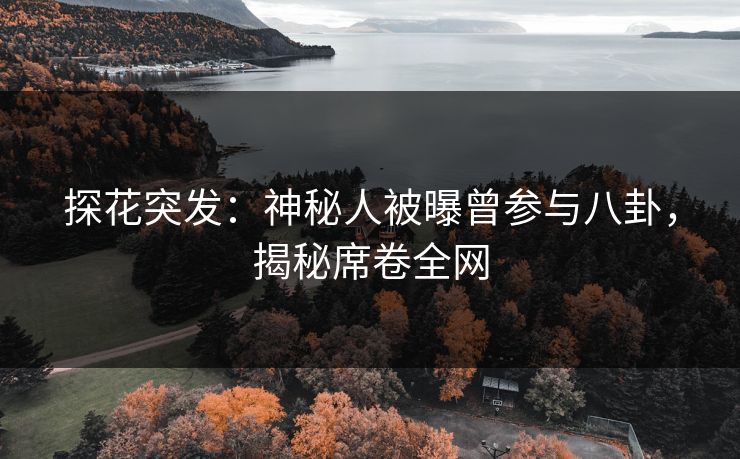 探花突发：神秘人被曝曾参与八卦，揭秘席卷全网