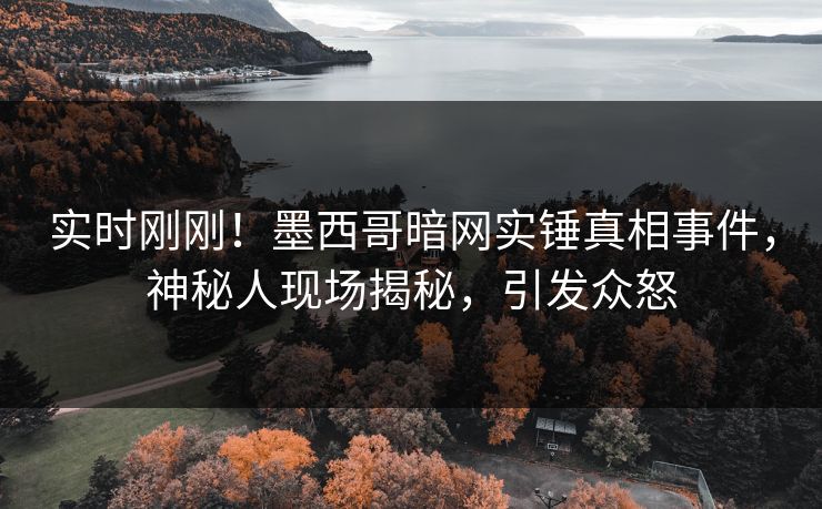 实时刚刚！墨西哥暗网实锤真相事件，神秘人现场揭秘，引发众怒
